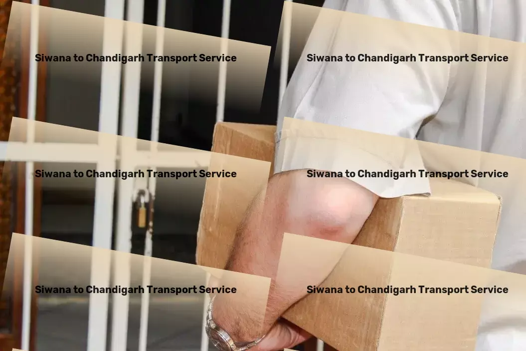 Siwana to Chandigarh Transport Specialized cargo shipping