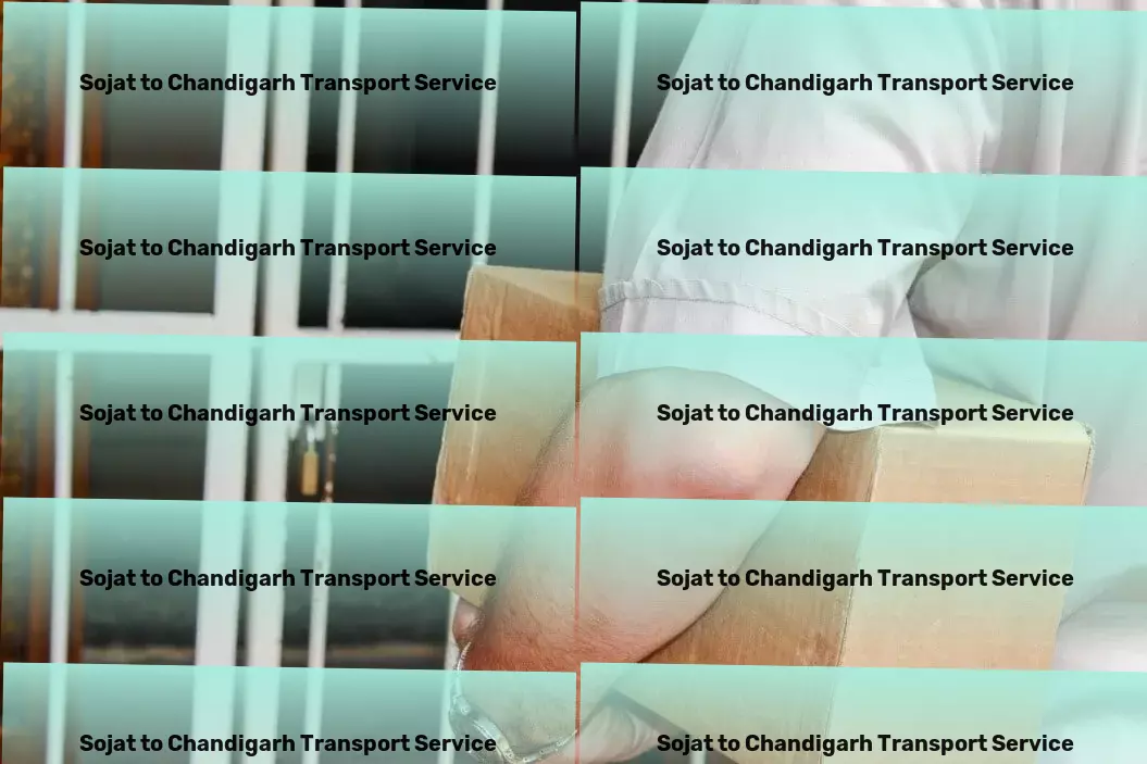 Sojat to Chandigarh Transport Large-scale distribution services