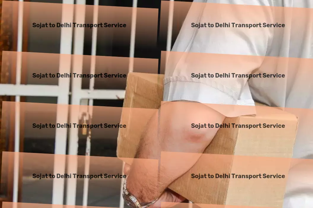 Sojat to Delhi Transport Local moving solutions