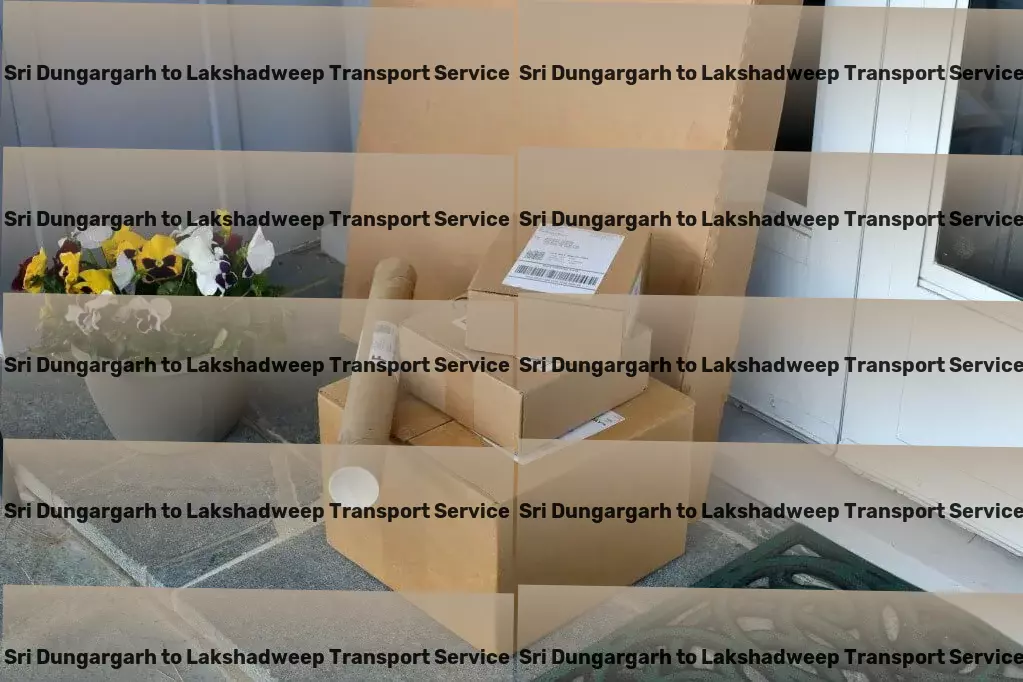 Sri Dungargarh to Lakshadweep Transport Craft delectable desserts that impress and delight! - Express goods logistics