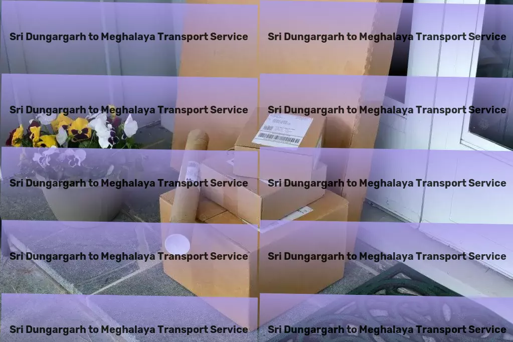 Sri Dungargarh to Meghalaya Transport Advanced freight technology