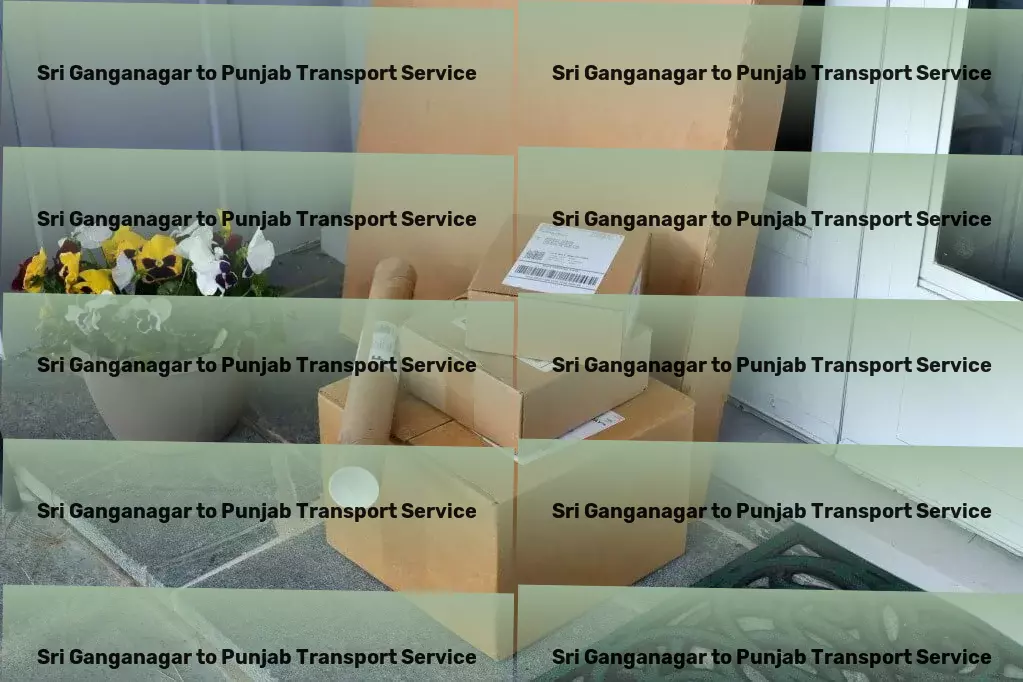 Sri Ganganagar to Punjab Transport High-speed package services