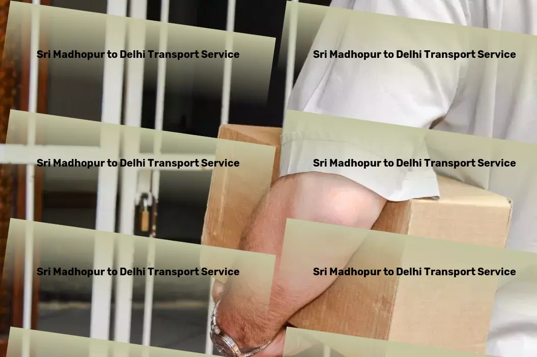 Sri Madhopur to Delhi Transport Rapid goods shipment solutions