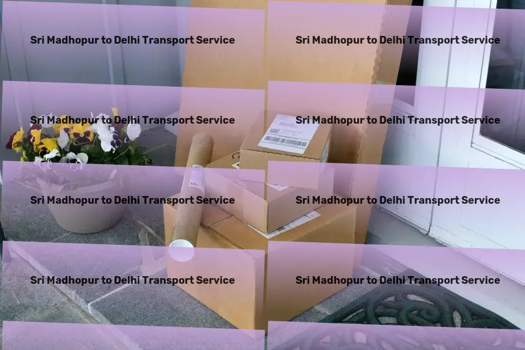 Sri Madhopur to Delhi Transport Professional freight carriage