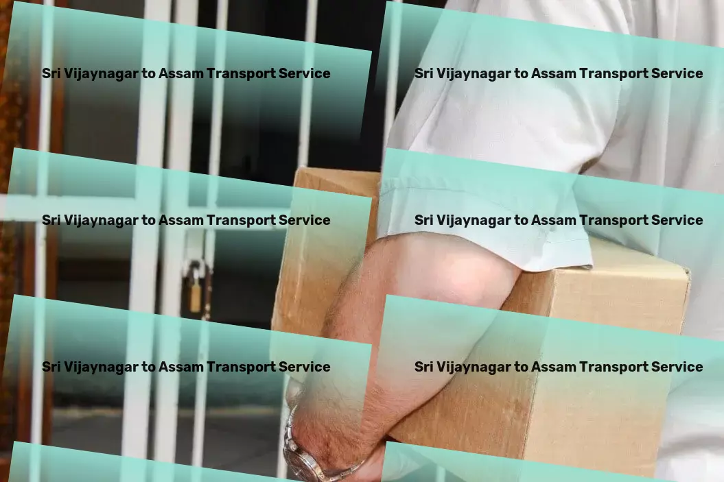 Sri Vijaynagar to Assam Transport Industrial logistics management