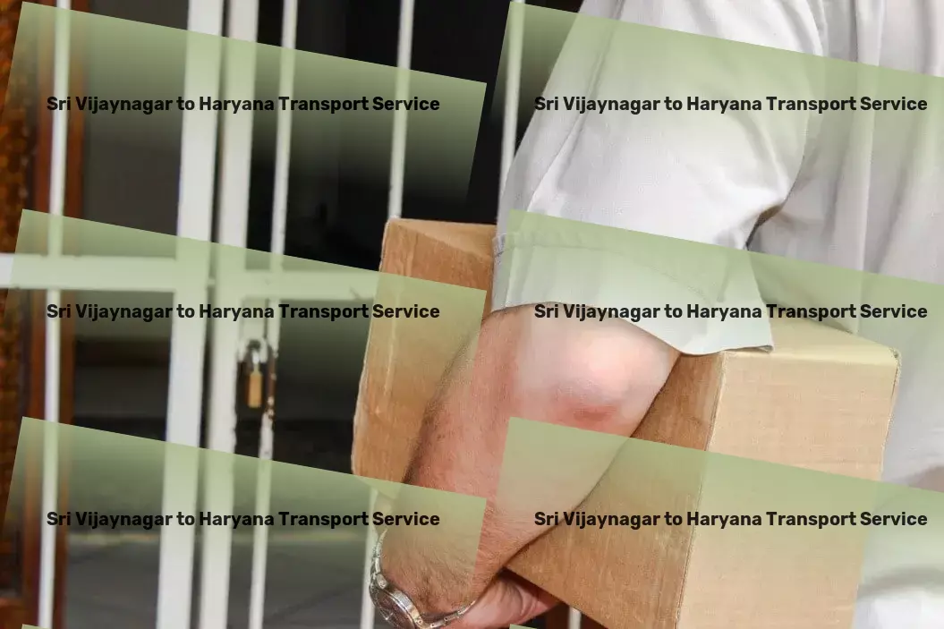 Sri Vijaynagar to Haryana Transport Innovative, reliable, and ready to move your goods in India. - Professional shipping solutions