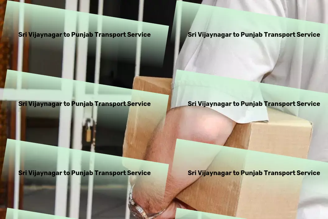 Sri Vijaynagar to Punjab Transport A journey of precision and care across Indian states. - Specialized goods shipment services