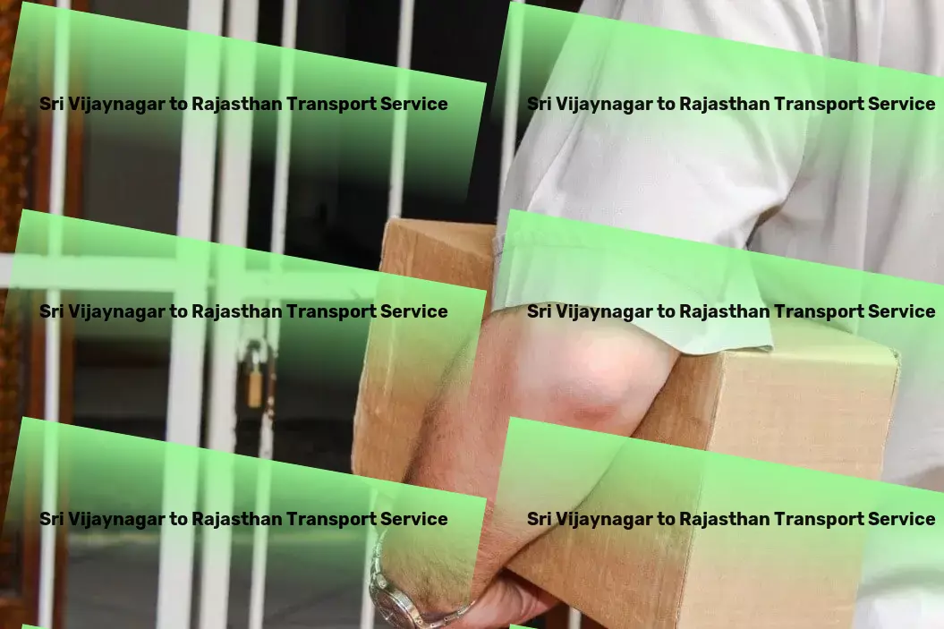 Sri Vijaynagar to Rajasthan Transport Professional courier services