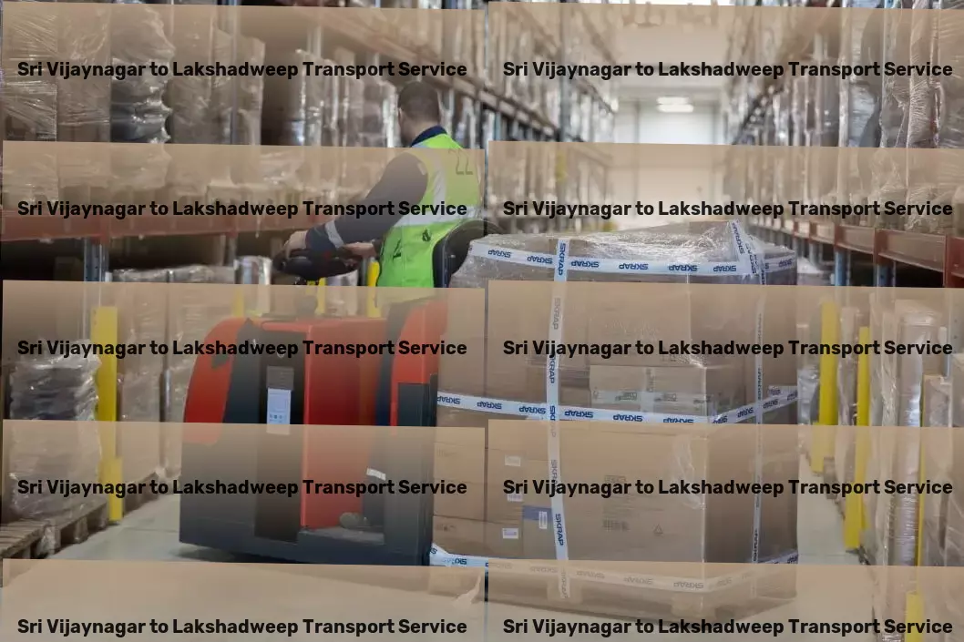 Sri Vijaynagar to Lakshadweep Transport Customized goods forwarding