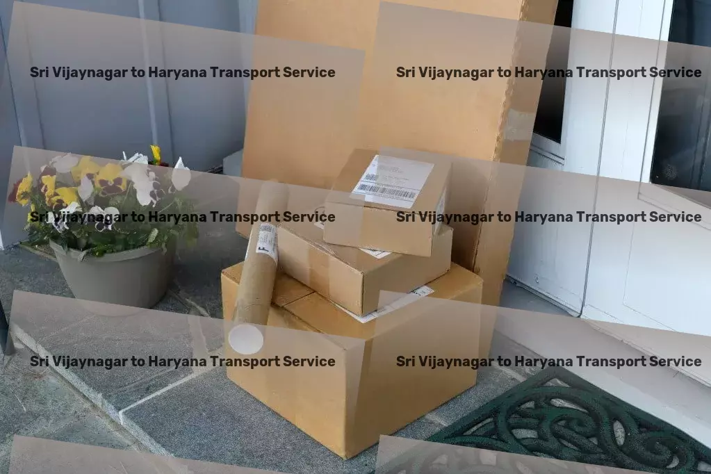 Sri Vijaynagar to Haryana Transport Relish in creating vibrant and healthy culinary masterpieces! - Import export courier services