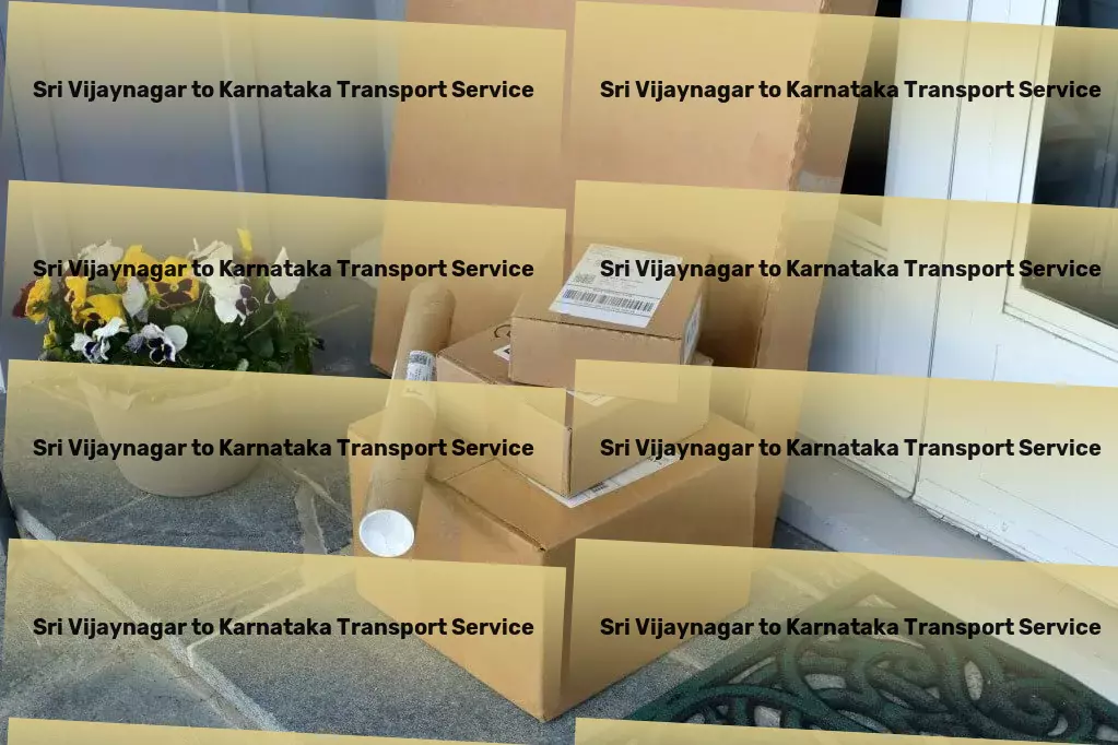 Sri Vijaynagar to Karnataka Transport Professional transport solutions