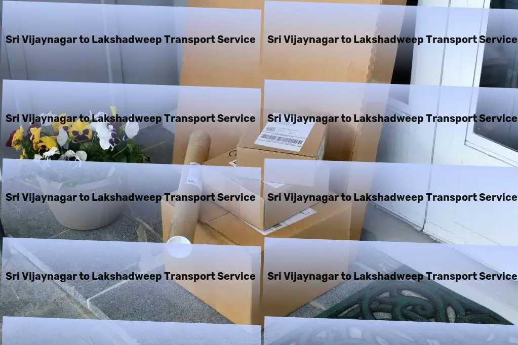 Sri Vijaynagar to Lakshadweep Transport Logistic support services