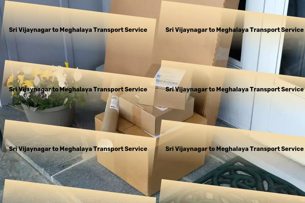 Sri Vijaynagar to Meghalaya Transport Express package forwarding