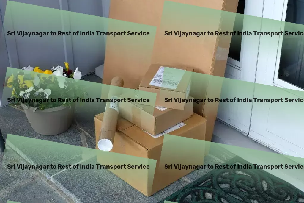 Sri Vijaynagar to Rest Of India Transport Eco-friendly transport solutions