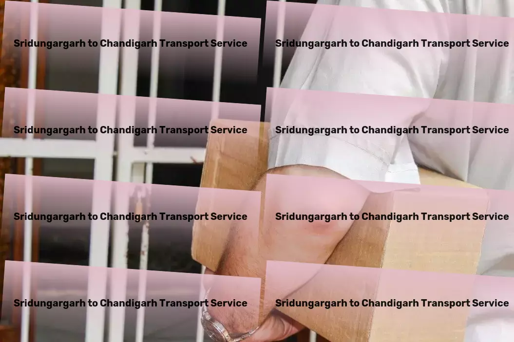 Sridungargarh to Chandigarh Transport Making city life easier one ride at a time! - Logistics planning