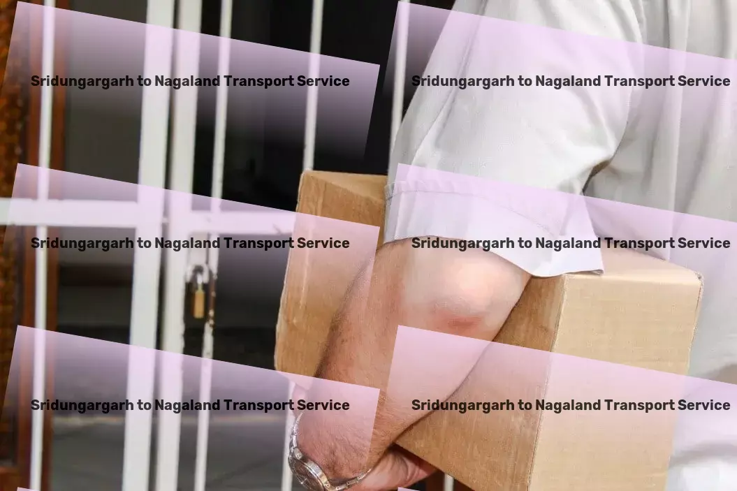 Sridungargarh to Nagaland Transport International courier services