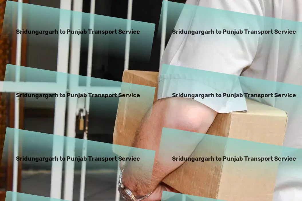 Sridungargarh to Punjab Transport Where technology meets urban transit needs. - Logistics for parcel freight