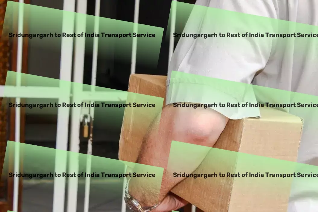 Sridungargarh to Rest Of India Transport Full-scale logistics management