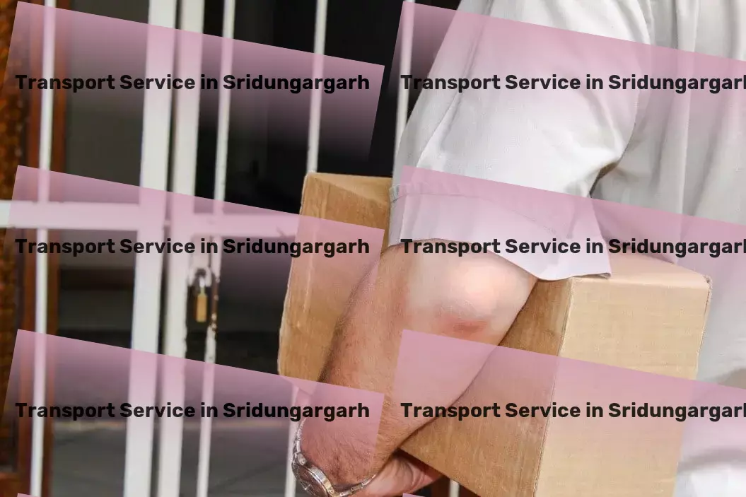 Transport in Sridungargarh, Rajasthan (RJ) Making Indian goods transportation hassle-free for you! - Nationwide cargo dispatch