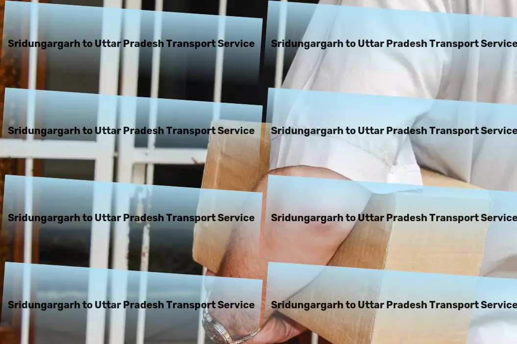 Sridungargarh to Uttar Pradesh Transport Efficient package logistics