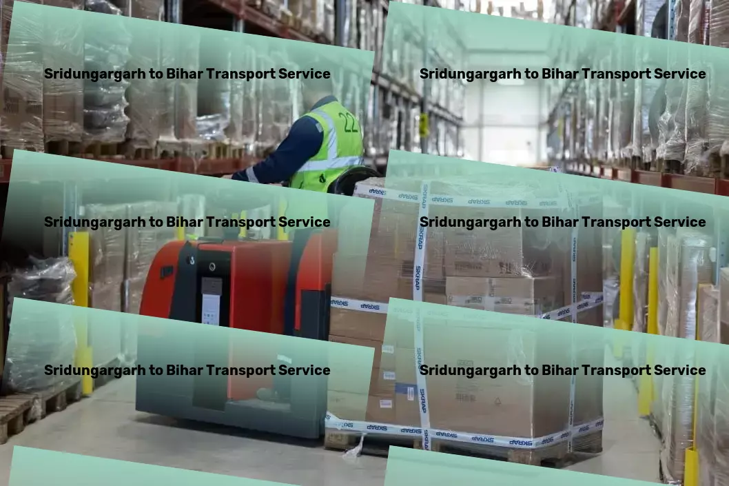 Sridungargarh to Bihar Transport Your all-in-one solution for navigating Indian logistics! - Express parcel logistics