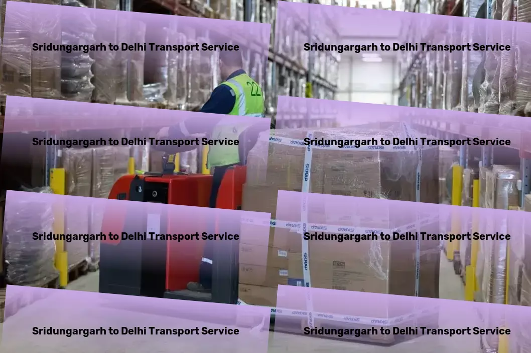 Sridungargarh to Delhi Transport Transport management services