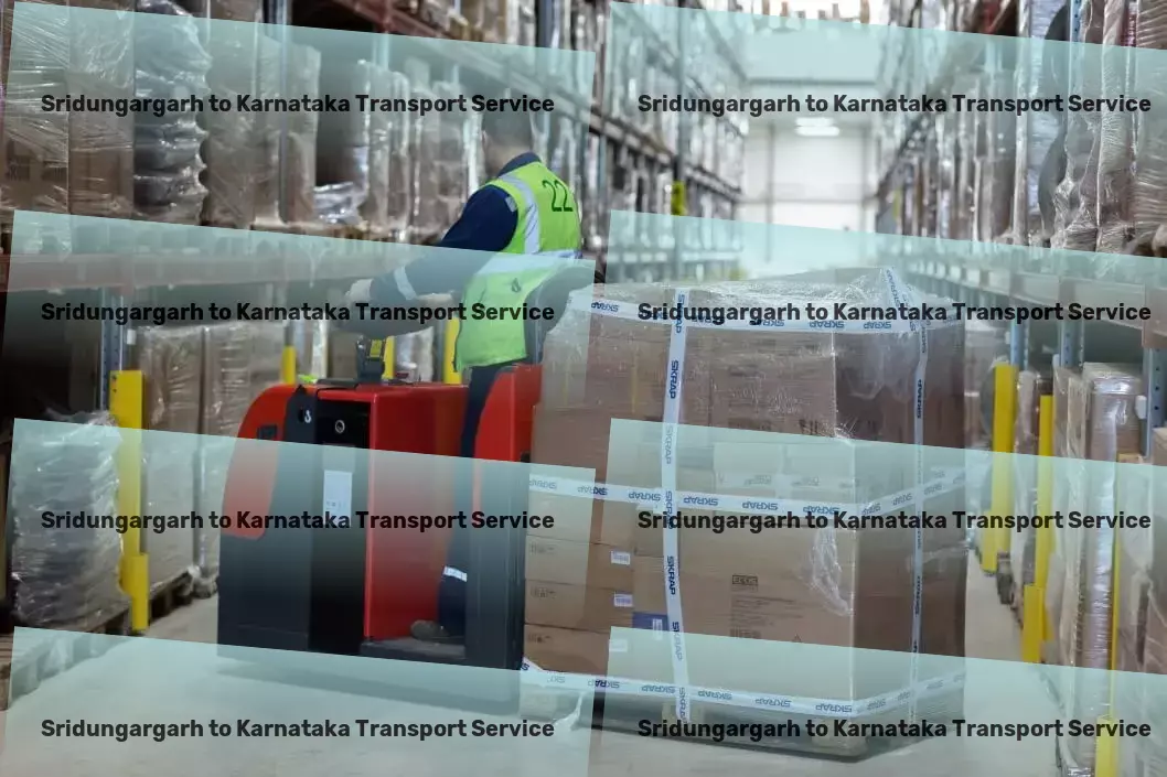 Sridungargarh to Karnataka Transport Efficient cargo forwarding services