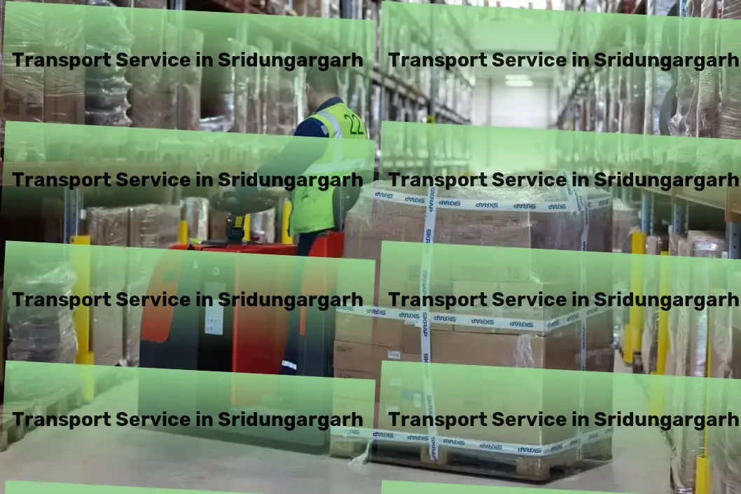 Household Goods Transport in Sridungargarh, Rajasthan (RJ) Your essential guide to navigating Indian logistics. - Furniture transit solutions