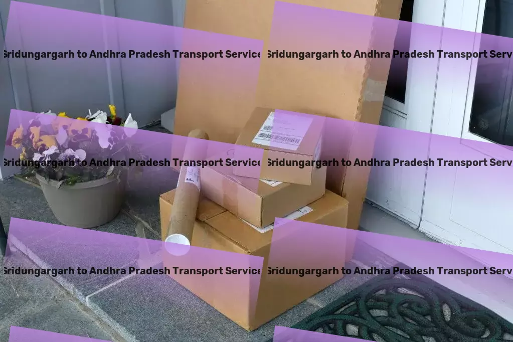 Sridungargarh to Andhra Pradesh Transport Quick furniture relocation