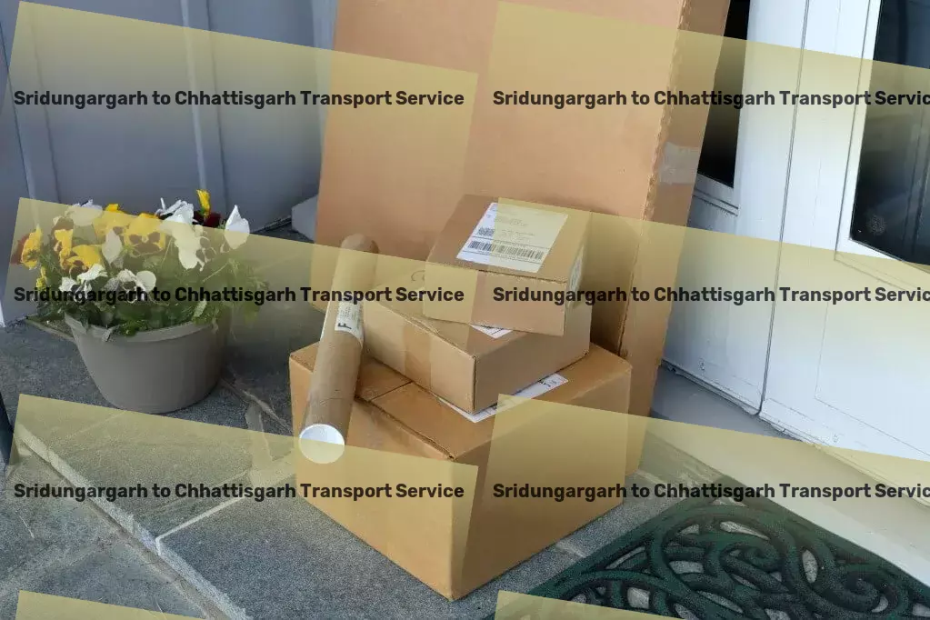 Sridungargarh to Chhattisgarh Transport Secure and effective transportation solutions for India. - Local courier solutions