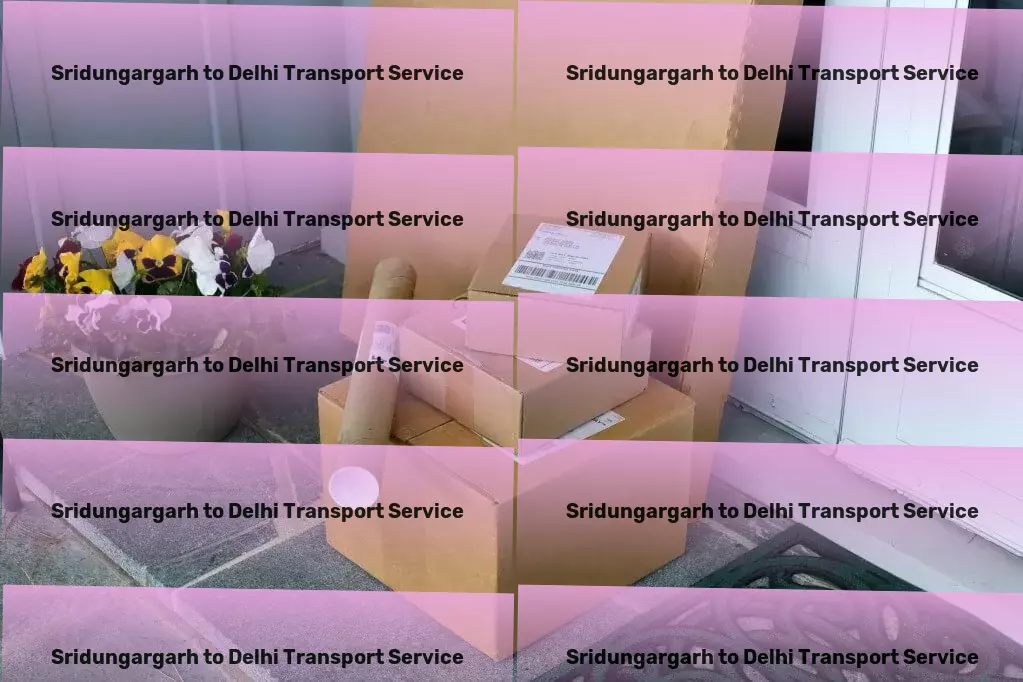 Sridungargarh to Delhi Transport Trusted by businesses for unparalleled logistics in India! - High-volume cargo services