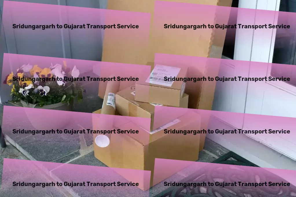 Sridungargarh to Gujarat Transport Achieve flawless skin care results with expert advice! - Commercial trucking solutions