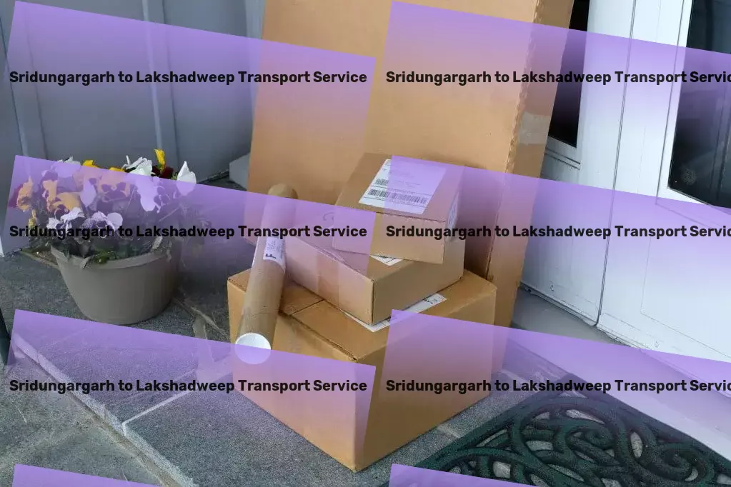 Sridungargarh to Lakshadweep Transport Citywide goods delivery