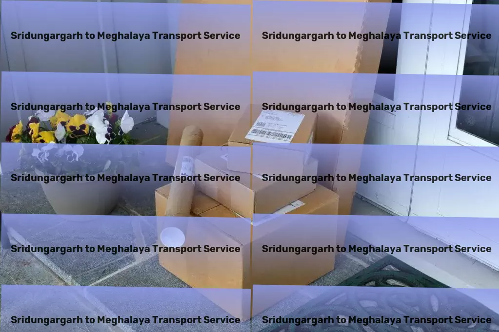 Sridungargarh to Meghalaya Transport Bulk cargo transport