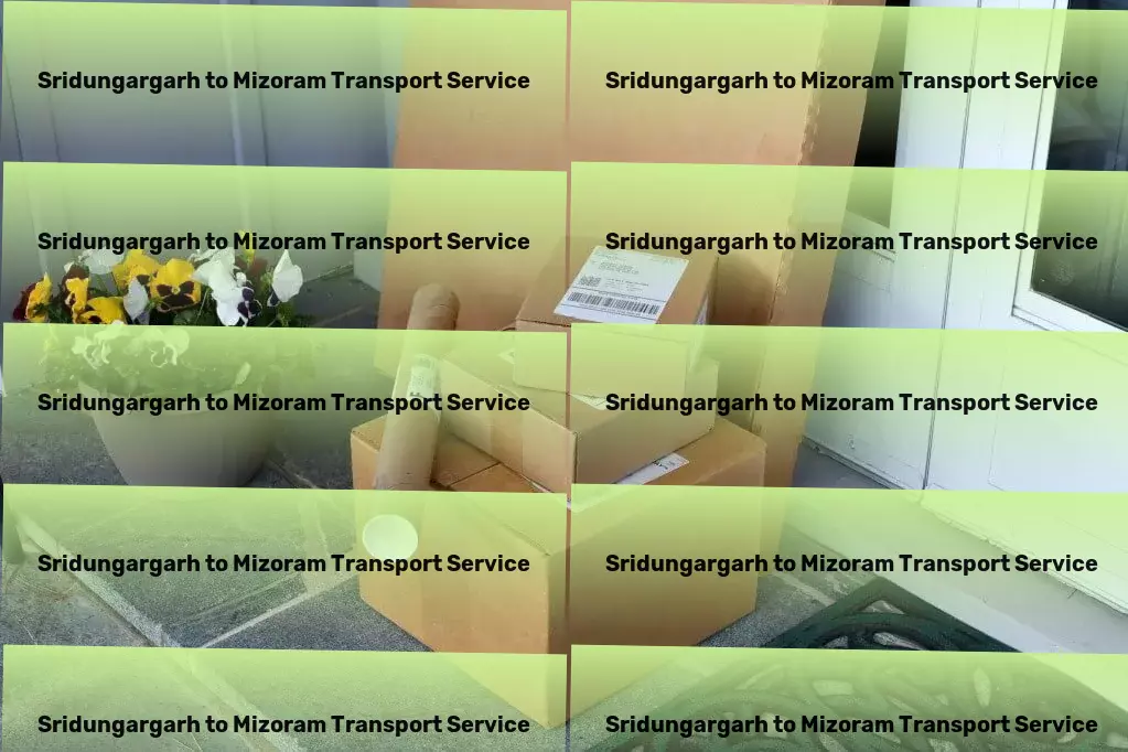 Sridungargarh to Mizoram Transport Fast cargo forwarding