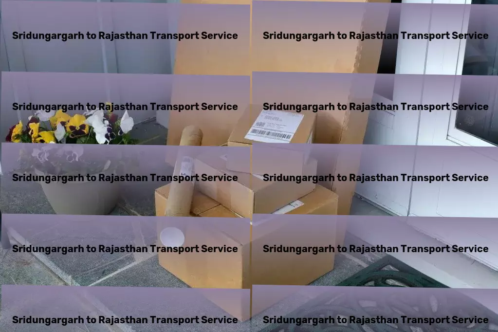 Sridungargarh to Rajasthan Transport Streamline your daily routines for maximum productivity! - National logistics solutions