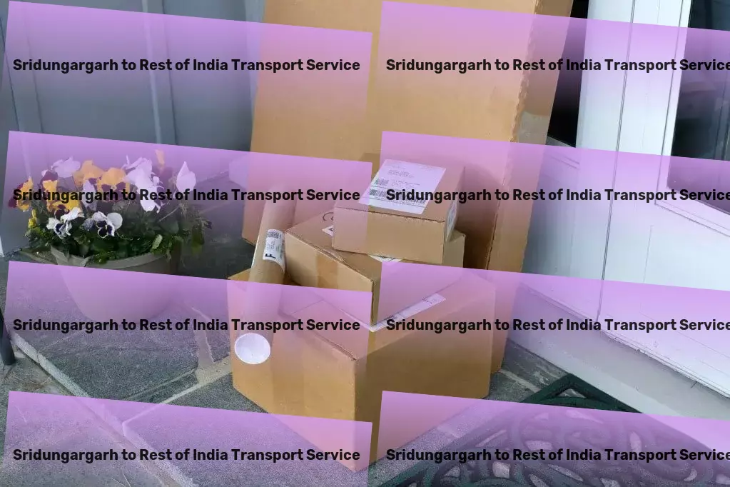 Sridungargarh to Rest Of India Transport Fast, reliable, and seamless - your ideal transport solution in India! - Rapid shipment services