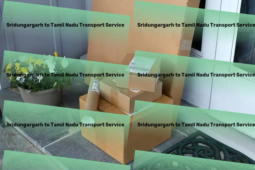 Sridungargarh to Tamil Nadu Transport Achieve flawless skin care results with expert advice! - Professional transport services