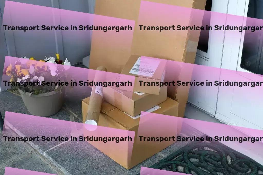 Transport in Sridungargarh, Rajasthan (RJ) Long-haul cargo transport