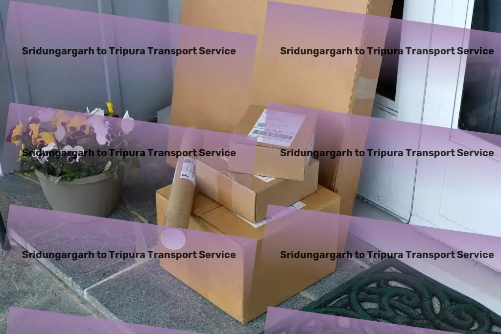 Sridungargarh to Tripura Transport Specialized transport and shipment