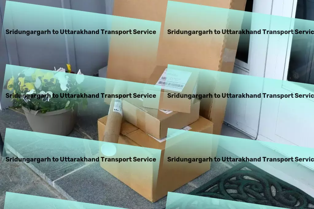 Sridungargarh to Uttarakhand Transport Breaking new ground in efficient Indian transportation! - Nationwide parcel transport