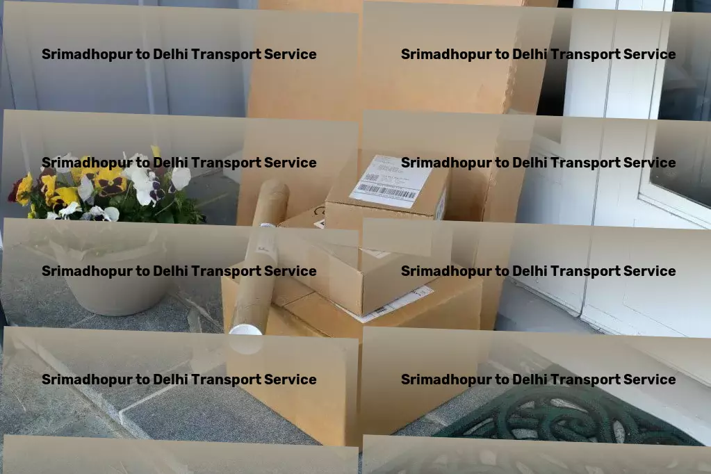 Srimadhopur to Delhi Transport Unlocking new levels of convenience in urban transit! - Long-distance shipping services