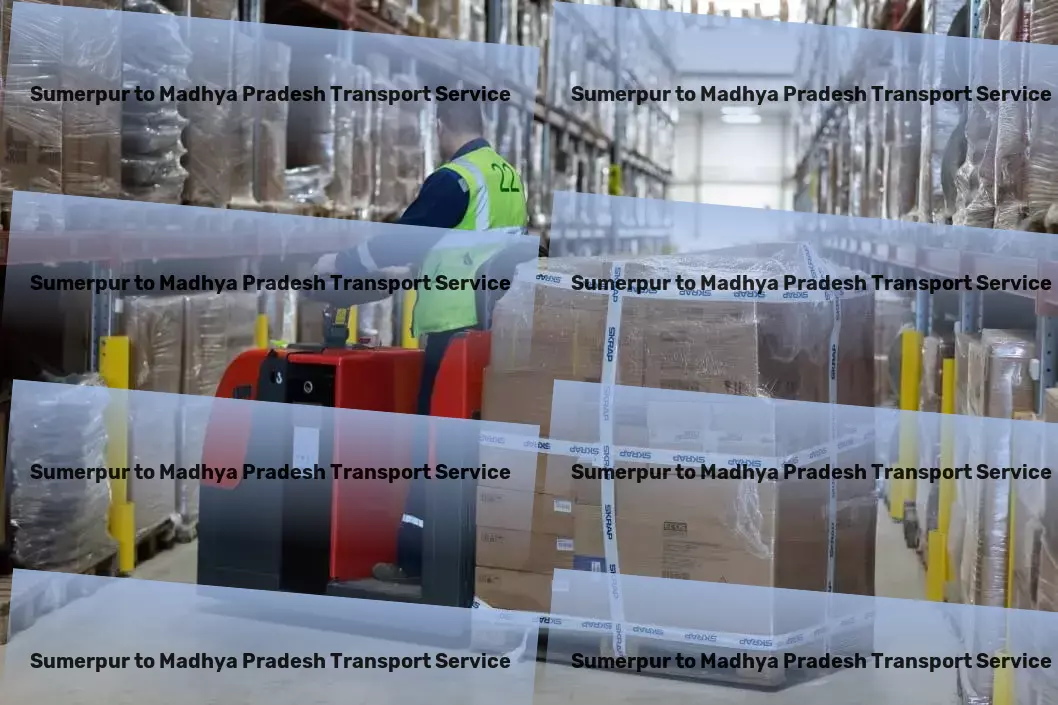 Sumerpur to Madhya Pradesh Transport Navigate the splendors of India without any hassles! - Professional cargo logistics