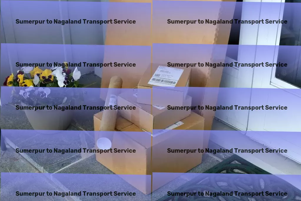 Sumerpur to Nagaland Transport Citywide package shipping