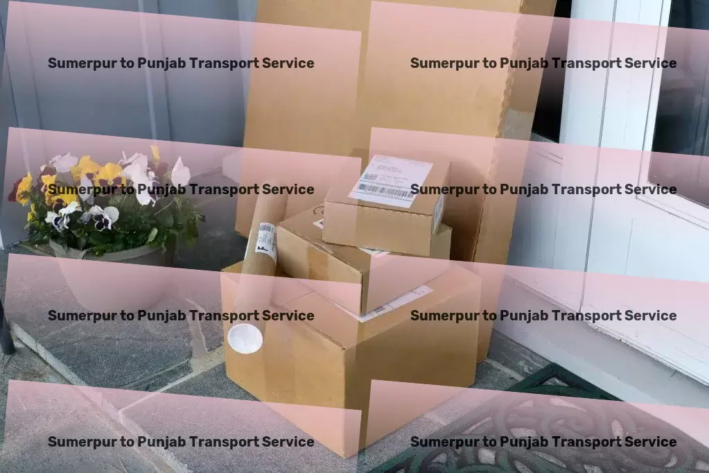 Sumerpur to Punjab Transport Dedicated parcel transport