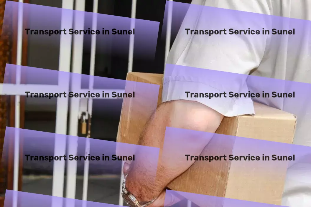 Courier And Parcel in Sunel, Rajasthan (RJ) Multi-state freight forwarding