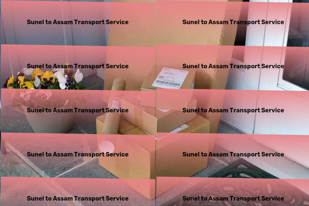 Sunel to Assam Transport Optimize your remote work setup for productivity and comfort! - Inter-state logistics solutions