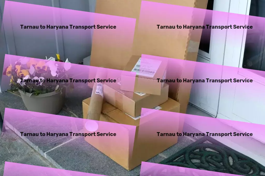 Tarnau to Haryana Transport Comprehensive package logistics