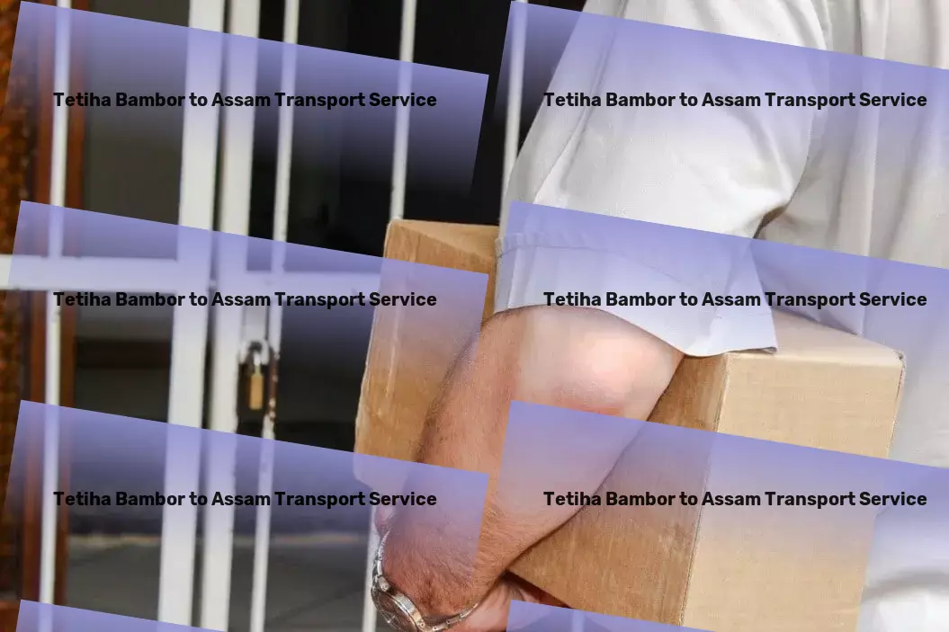 Tetiha Bambor to Assam Transport The epitome of excellence in Indian logistics and transport. - Reliable freight forwarding