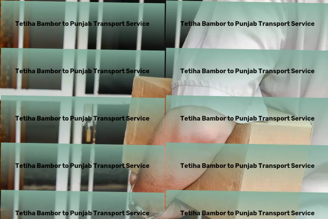 Tetiha Bambor to Punjab Transport Navigate the splendors of India without any hassles! - Full-scale goods transport